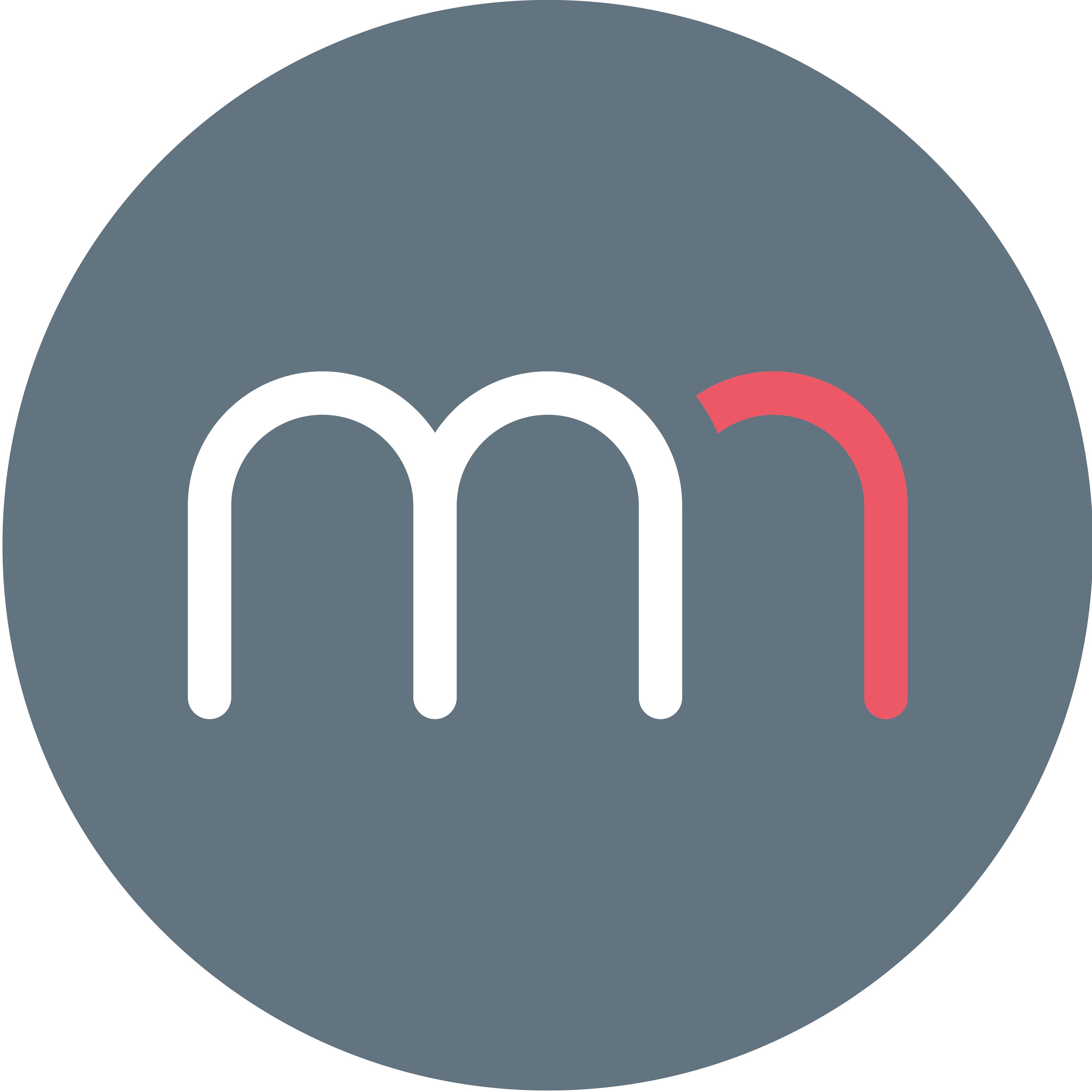 MentorMe - MentorMe - berufliches Förderprorgamm für Frauen-Logo